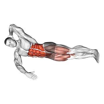 Oblique V-up on Floor