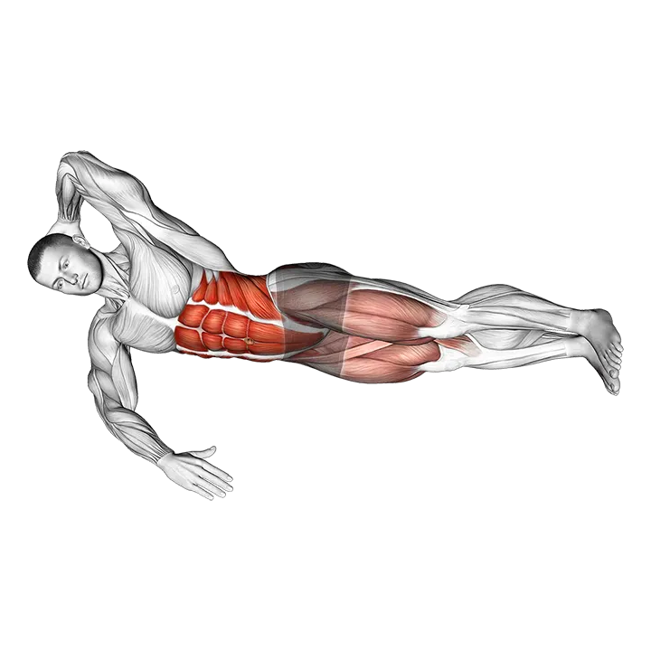 Oblique V-up on Floor exercise animation (Male)