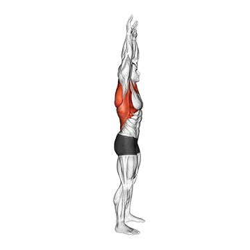 Shoulder Backbend Stretch