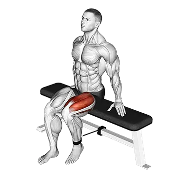 Band Seated Leg Extension