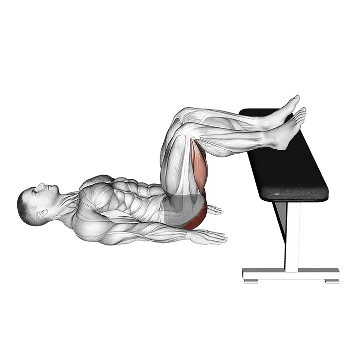 Glute Bridge Two Legs on Bench exercise animation (Male)