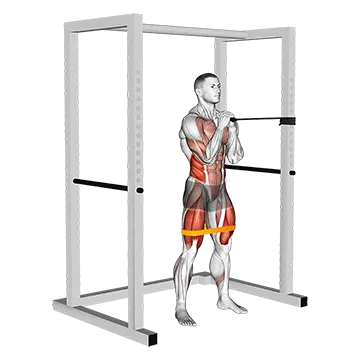 Band horizontal Pallof Press with Resistance Band Squat
