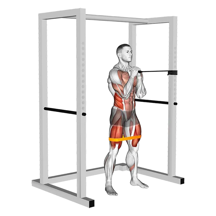 Band horizontal Pallof Press with Resistance Band Squat exercise animation (Männlich)