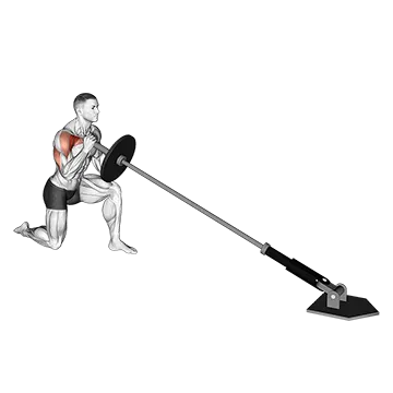 Landmine Kneeling One Arm Shoulder Press