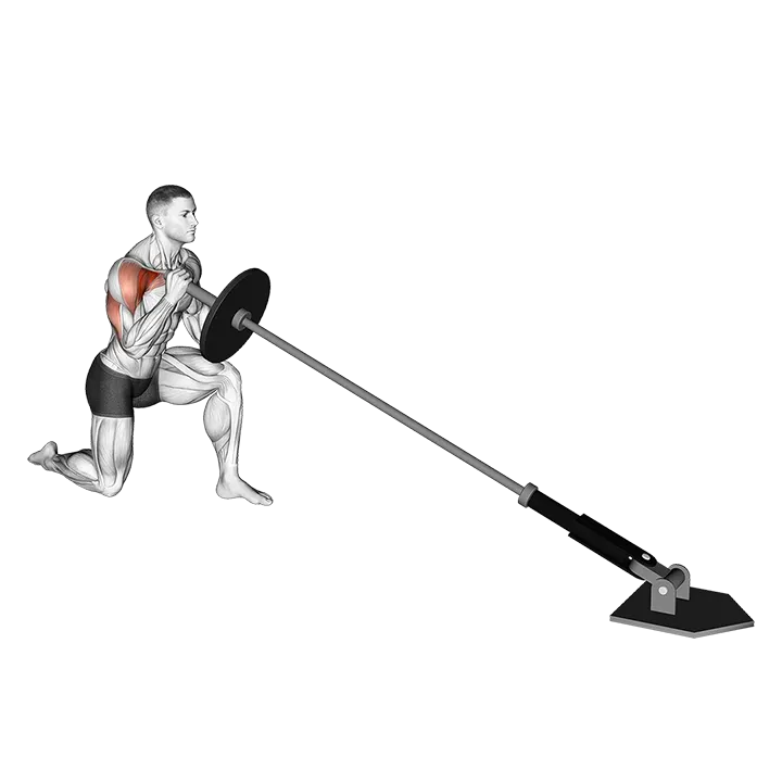 Landmine Kneeling One Arm Shoulder Press exercise animation (Male)