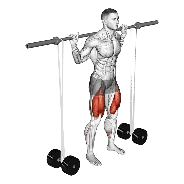 Barbell Banded Squat exercise animation (Male)
