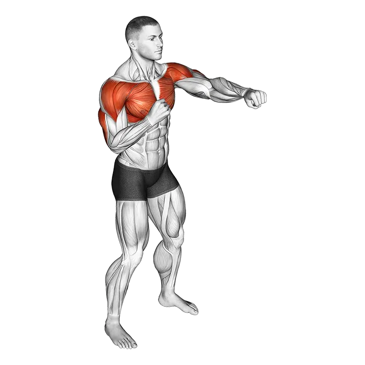 Alternate Punching exercise animation (Male)