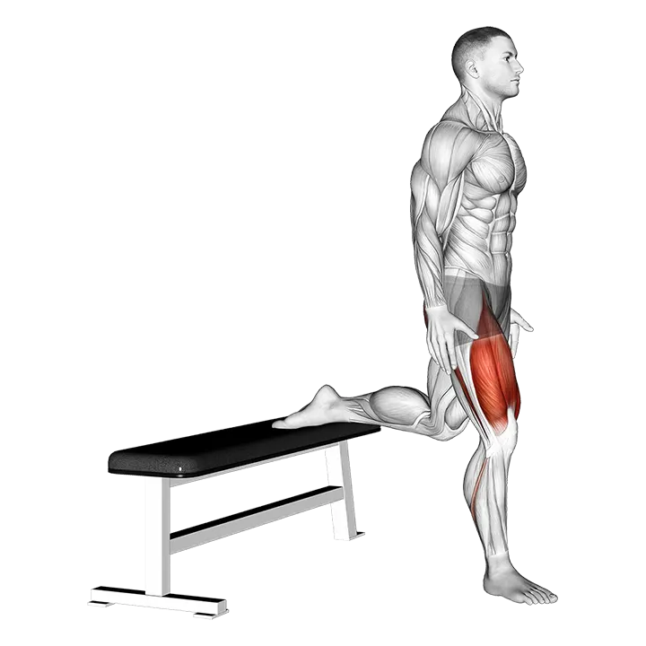 Bulgarian Split Squat exercise animation (Male)