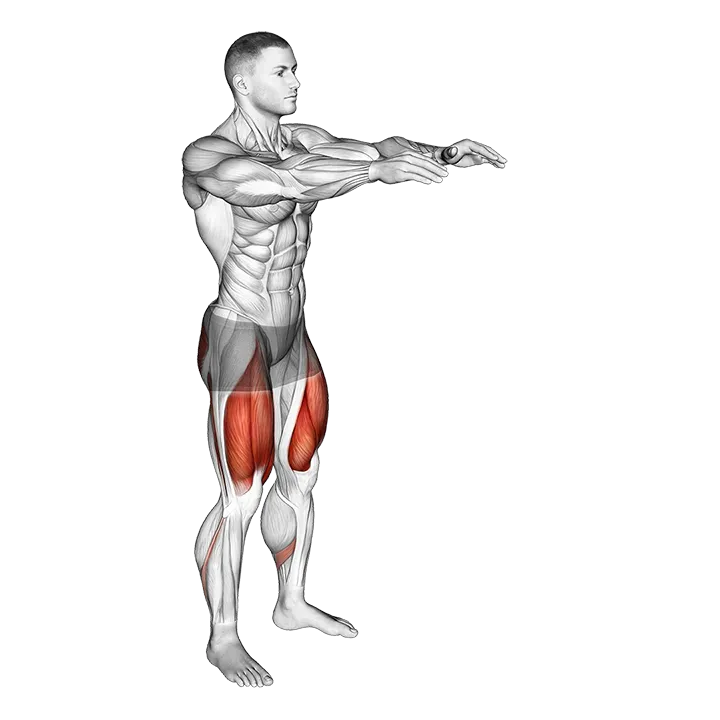 Bodyweight Pulse Squat exercise animation (Male)