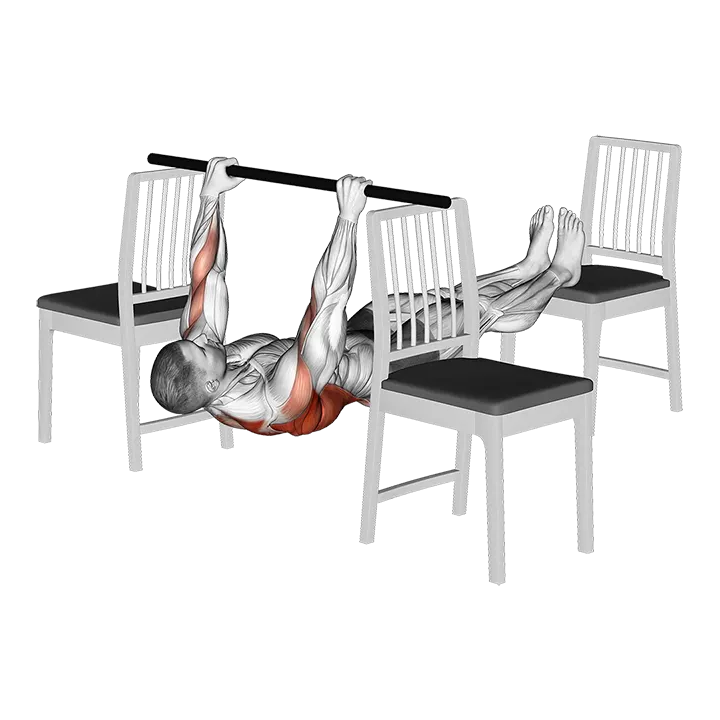 Elevanted Inverted Row between 3 Chairs exercise animation (Male)