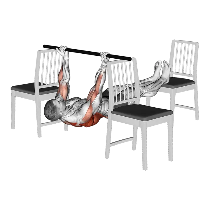 Elevanted Inverted Underhand Grip Row between 3 Chairs exercise animation (Male)