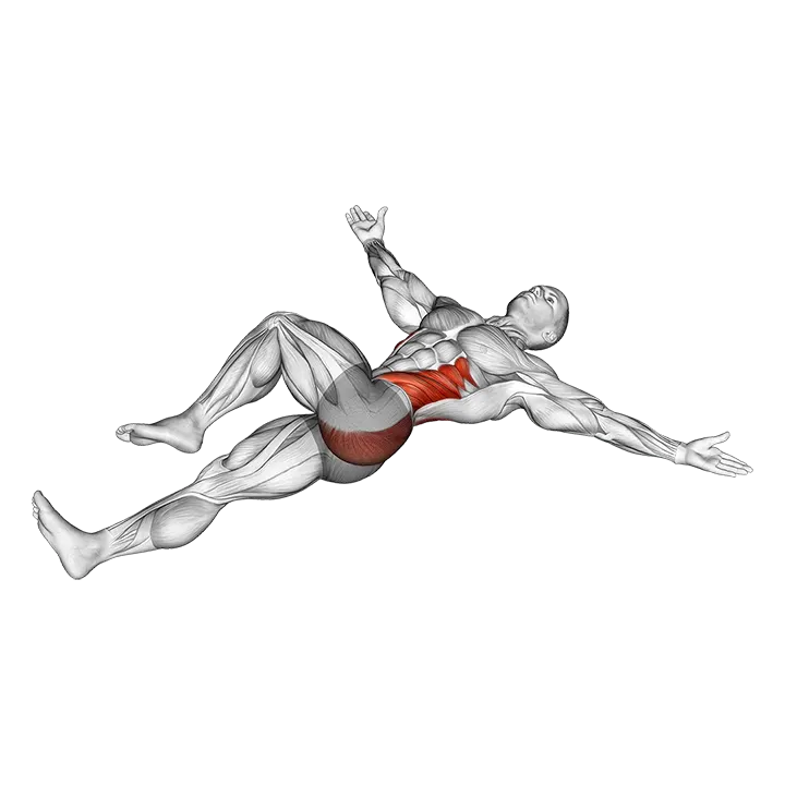 Lying T-Spine Mobility Stretching exercise animation (Male)