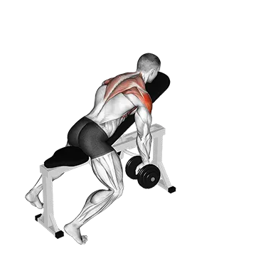 Dumbbell Incline Y-Raise