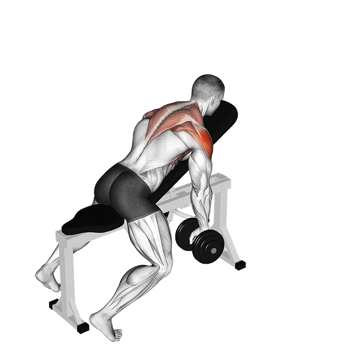Dumbbell Incline Y-Raise exercise animation (Male)