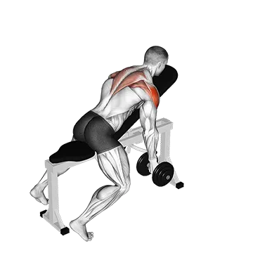 Dumbbell Incline T-Raise