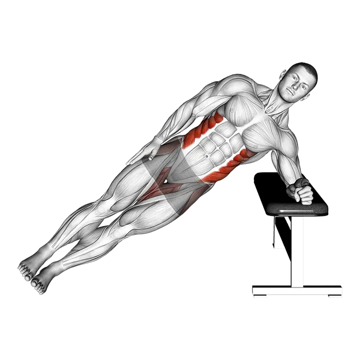Bodyweight Incline Side Plank exercise animation (Male)