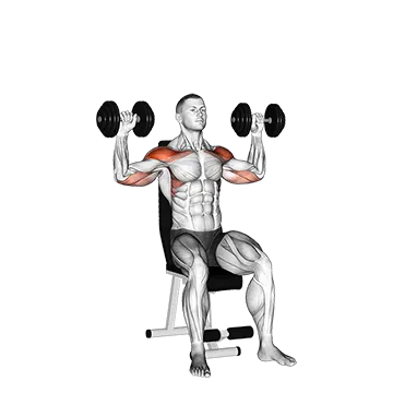 Dumbbell Seated Alternate Shoulder