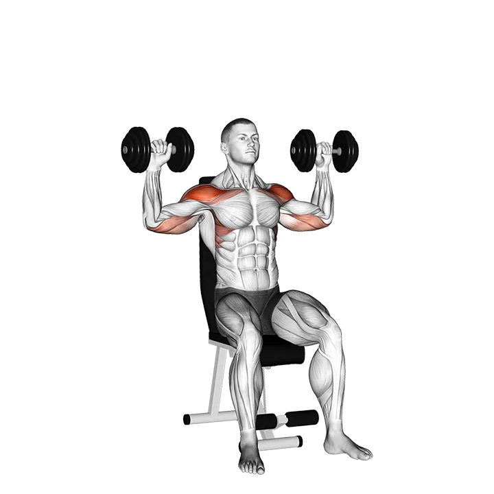 Dumbbell Seated Alternate Shoulder exercise animation (Male)