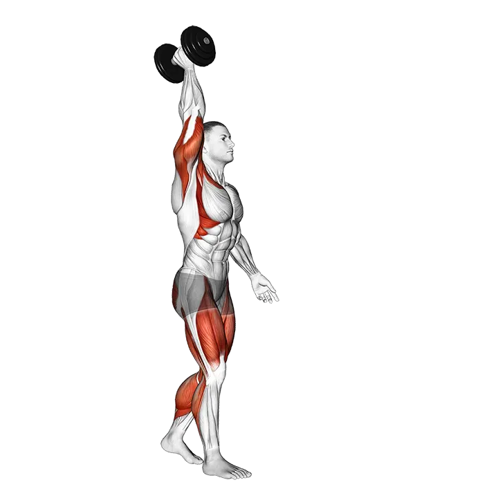 Dumbbell Single Arm Overhead Carry exercise animation (Male)