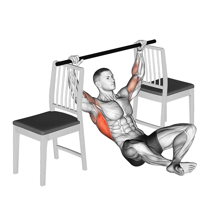 Seated Pull-up between Chairs exercise animation (Male)