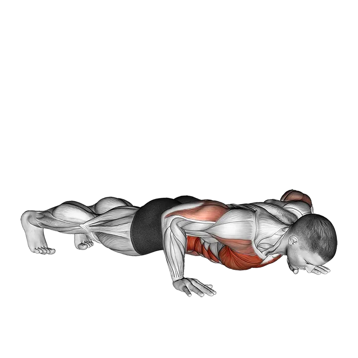 Rotational Push-Up exercise animation (Male)