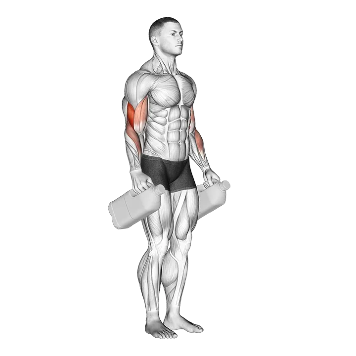 Bottle Hammer Curl exercise animation (Male)