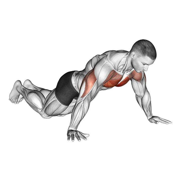 Kneeling Wide Hand Push-Up exercise animation (Male)