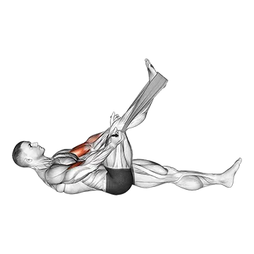 Lying Biceps Curl with Towel