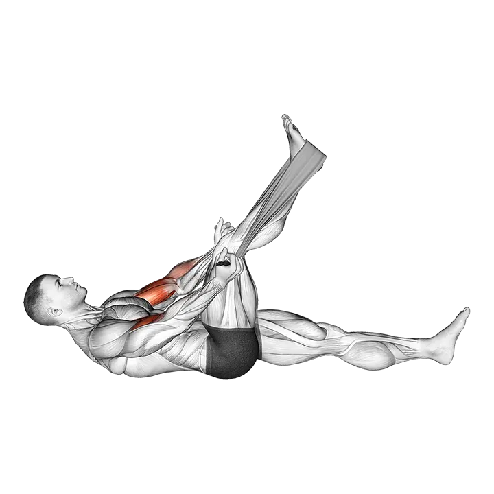 Lying Biceps Curl with Towel exercise animation (Male)