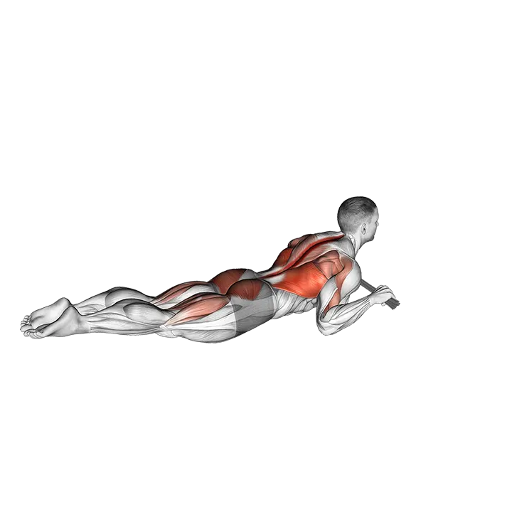 Superman Row with Towel exercise animation (Male)