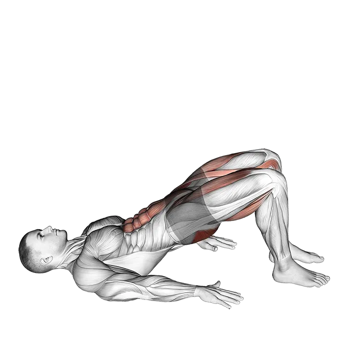 Glute Bridge March exercise animation (Male)