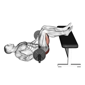 Barbell Glute Bridge Two Legs on Bench