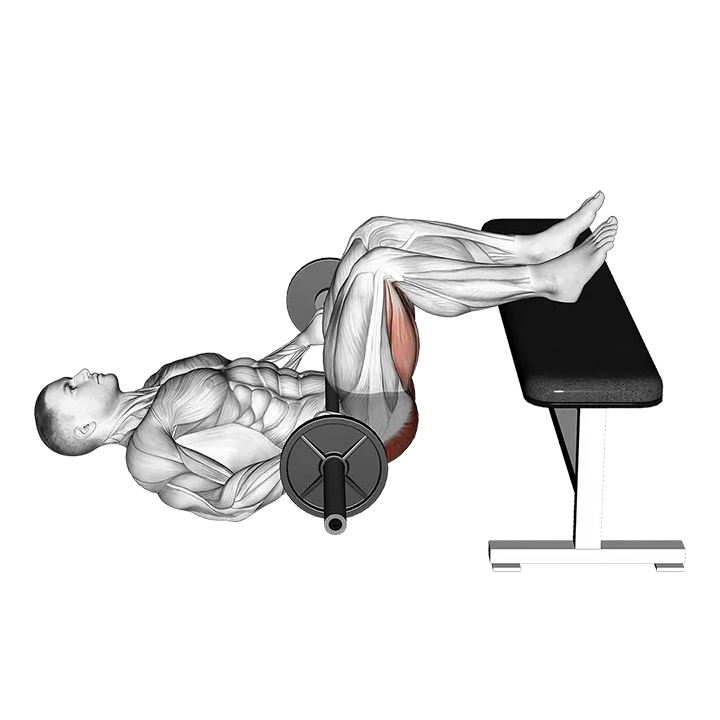 Barbell Glute Bridge Two Legs on Bench exercise animation (Male)