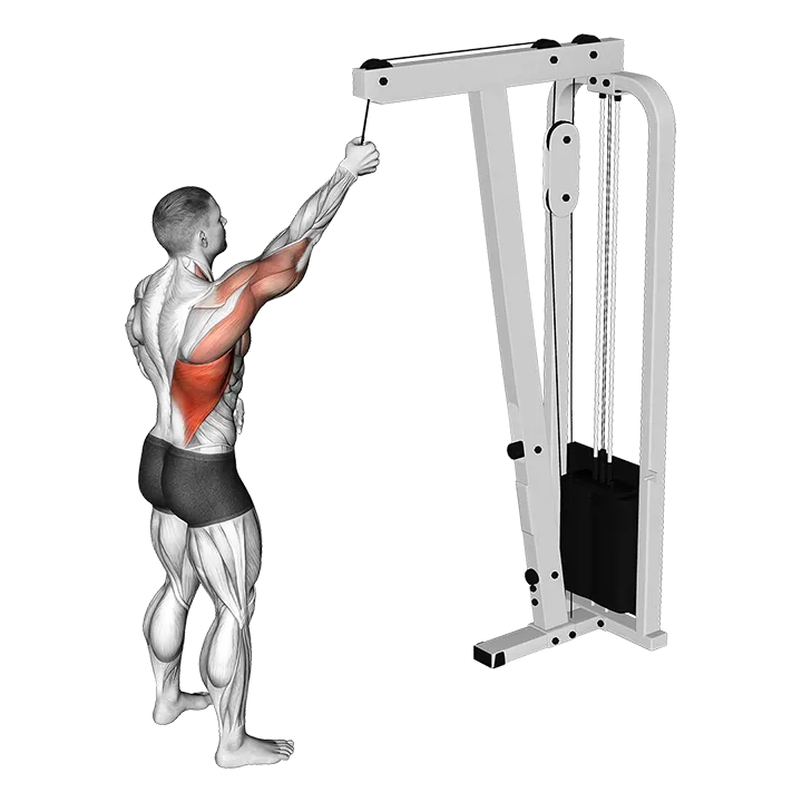 Cable One Arm Pulldown exercise animation (Male)