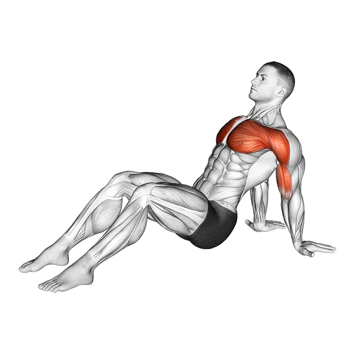 Seated Shoulder Flexor Depresor Retractor Stretch Bent Knee exercise animation (Male)