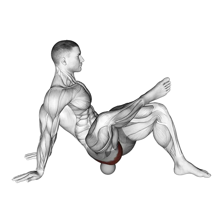 Roll Ball Piriformis Release exercise animation (Male)