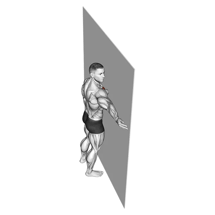 Roll Ball Pectorial Release exercise animation (Male)