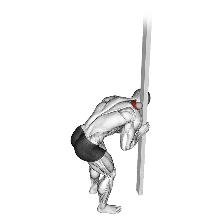 Roll Ball Upper Trapezius Release exercise animation (Male)