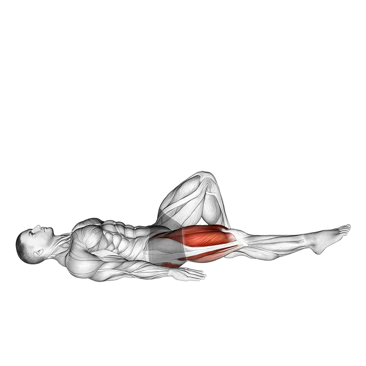 Single Leg Bridge with Hip Flexion exercise animation (Male)