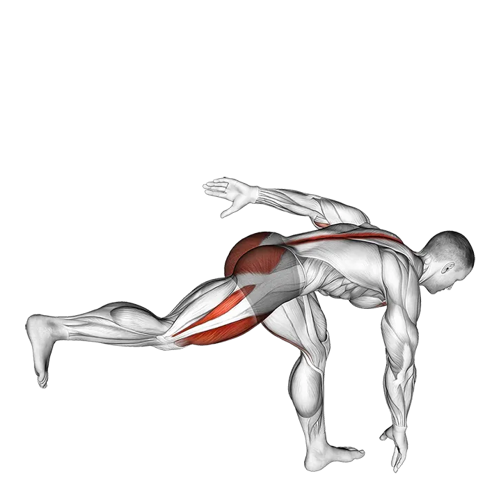 Single Leg Deadlift with Knee Lift exercise animation (Male)
