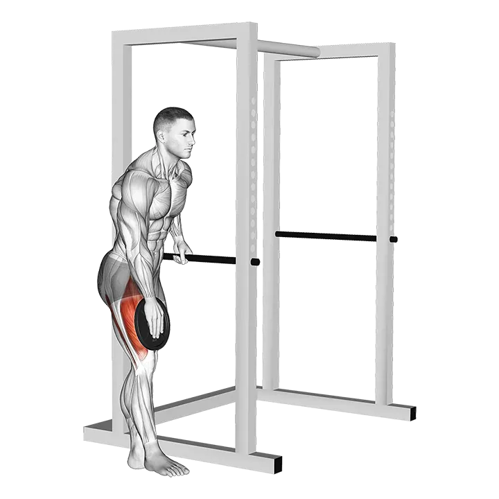 Weighted Single Leg Lift exercise animation (Male)