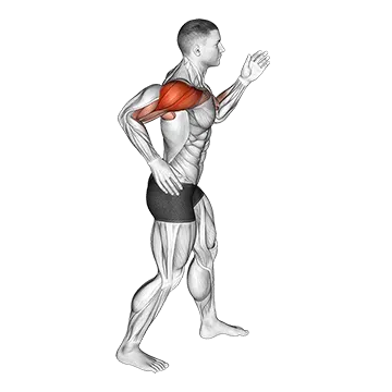 Quickly Swing Arms in place