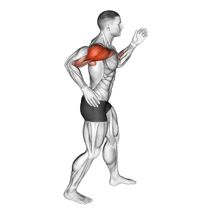 Quickly Swing Arms in place exercise animation (Hombre)