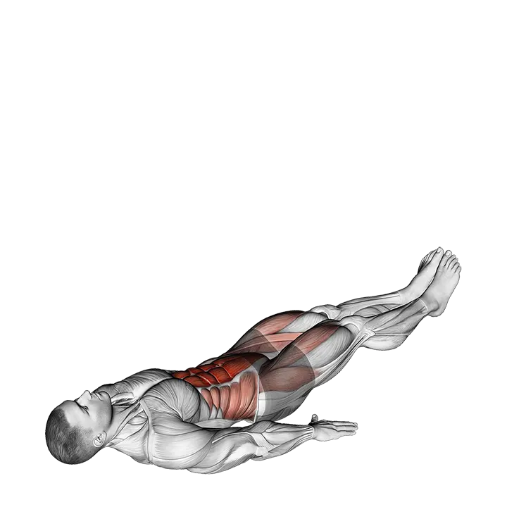 Alternate Lying Floor Leg Raise exercise animation (Male)