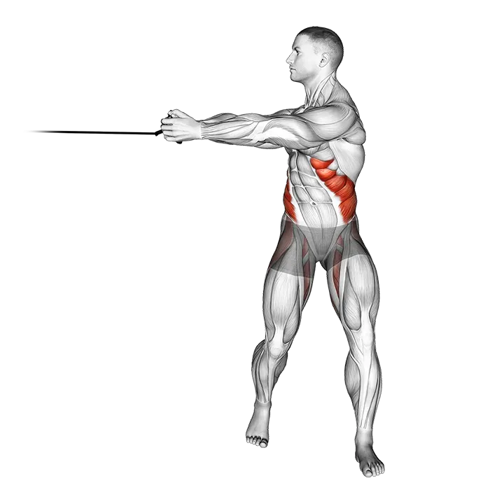 Band twist exercise animation (Male)