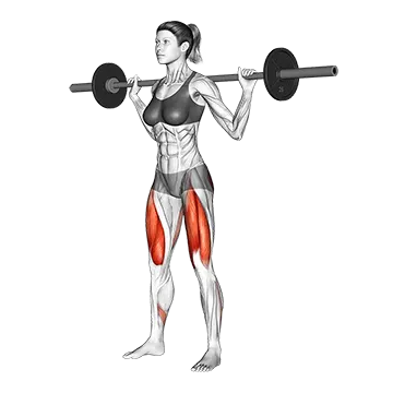 Barbell Squat