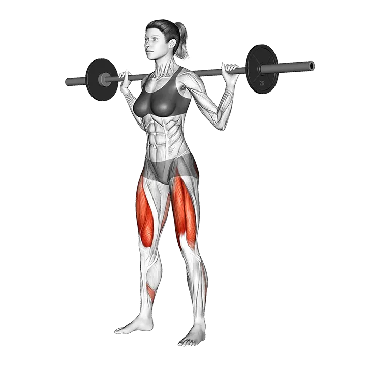 Barbell Squat exercise animation (Female)
