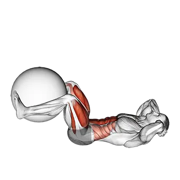 Leg Extension Crunch (with Stability Ball)