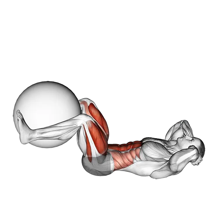 Leg Extension Crunch (with Stability Ball) exercise animation (Male)