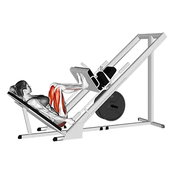 Sled 45 degrees Narrow Stance Leg Press